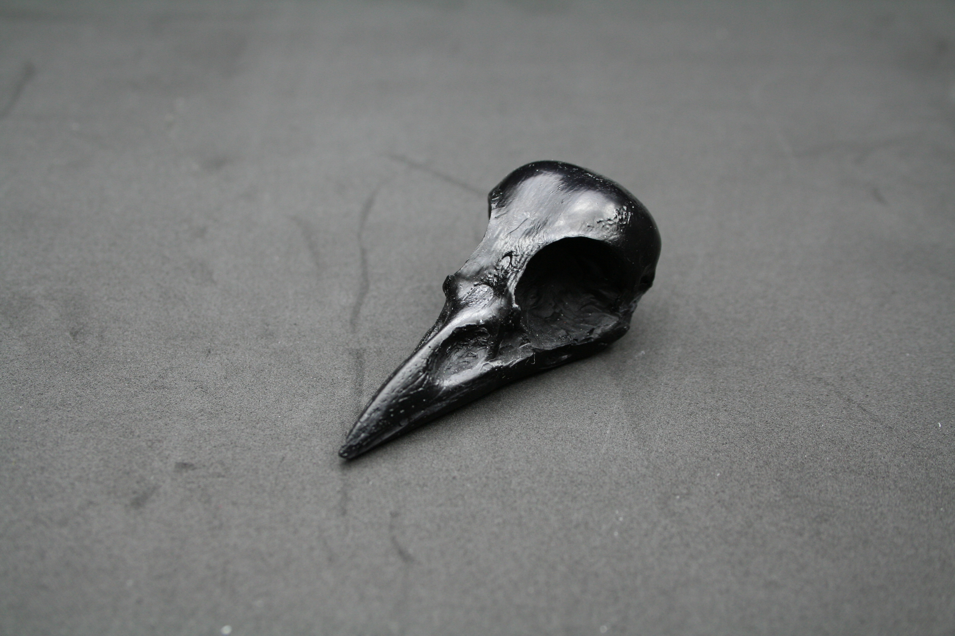 Magpie Skull Replica (black)